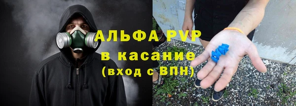 стаф Алексин