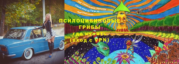 стаф Алексин
