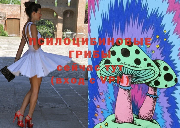 стаф Алексин