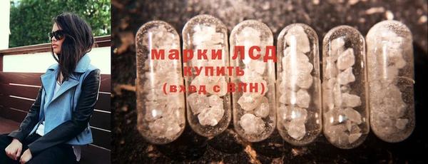 стаф Алексин