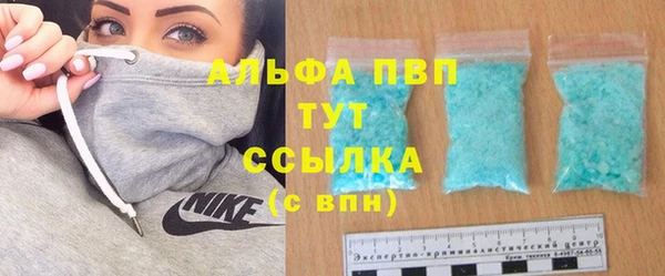 стаф Алексин